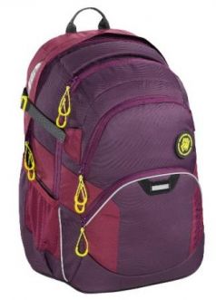 Рюкзак светоотражающие материалы Coocazoo Berryman 30 л фиолетовый бордовый