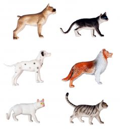 Игровой набор 1Toy В мире животных Кошки и собаки