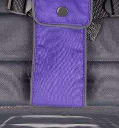 Прогулочная коляска Corol S-8, цвет: фиолетовый